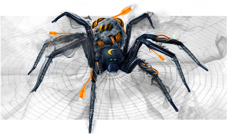 spider